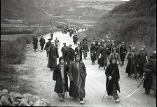 1762656550993_bbcppd_1762656586472.png 1762656550993_bbcppd_1762656586472.png